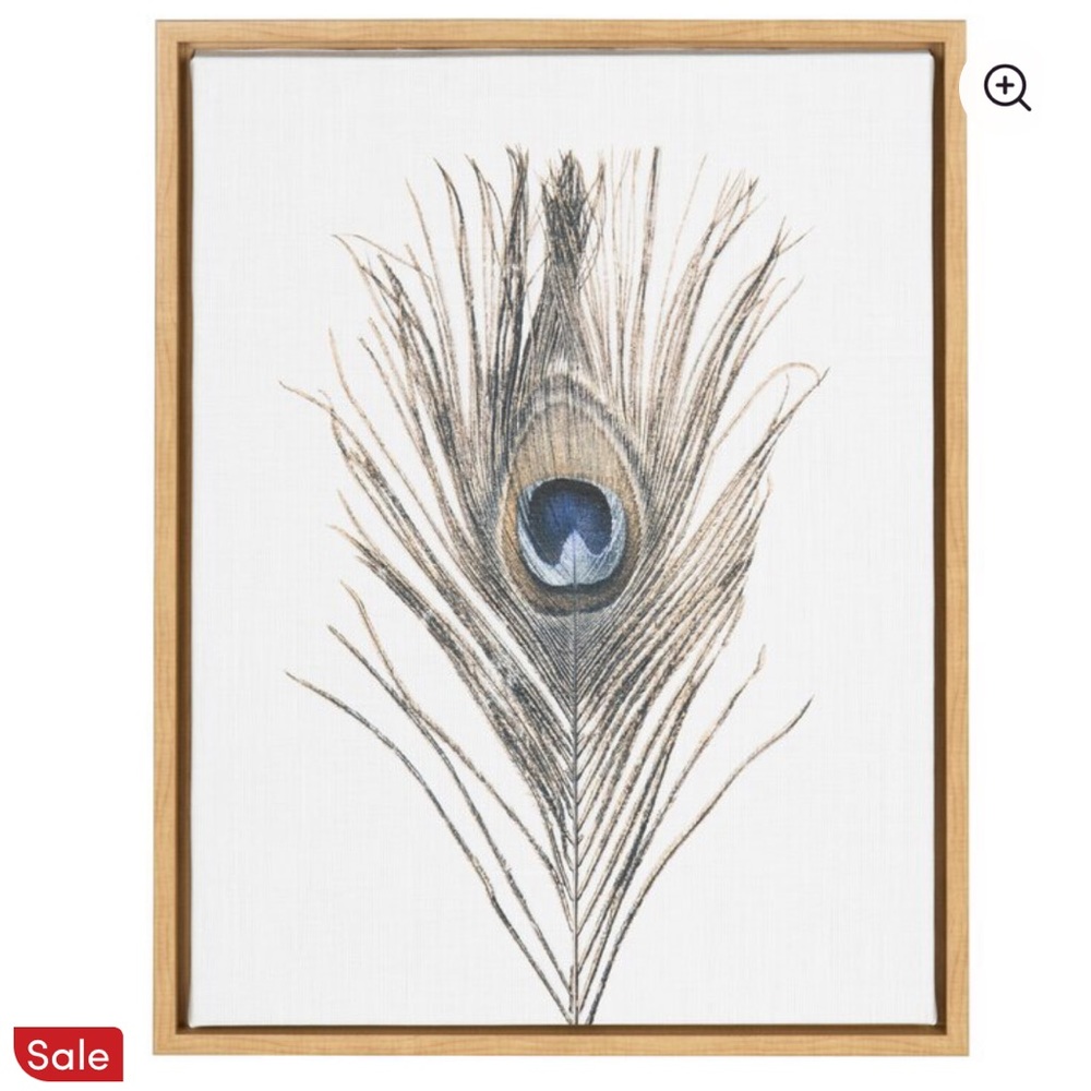 Natural Peacock Feather Canvas Print 🦚